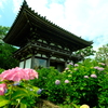 観音寺仁王門