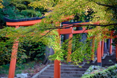 お稲荷さんへの道