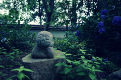 すましがお