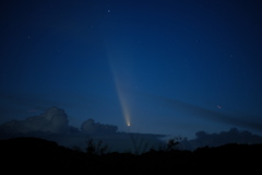 紫金山・アトラス彗星