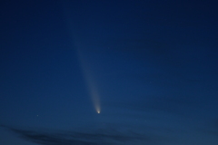 紫金山・アトラス彗星