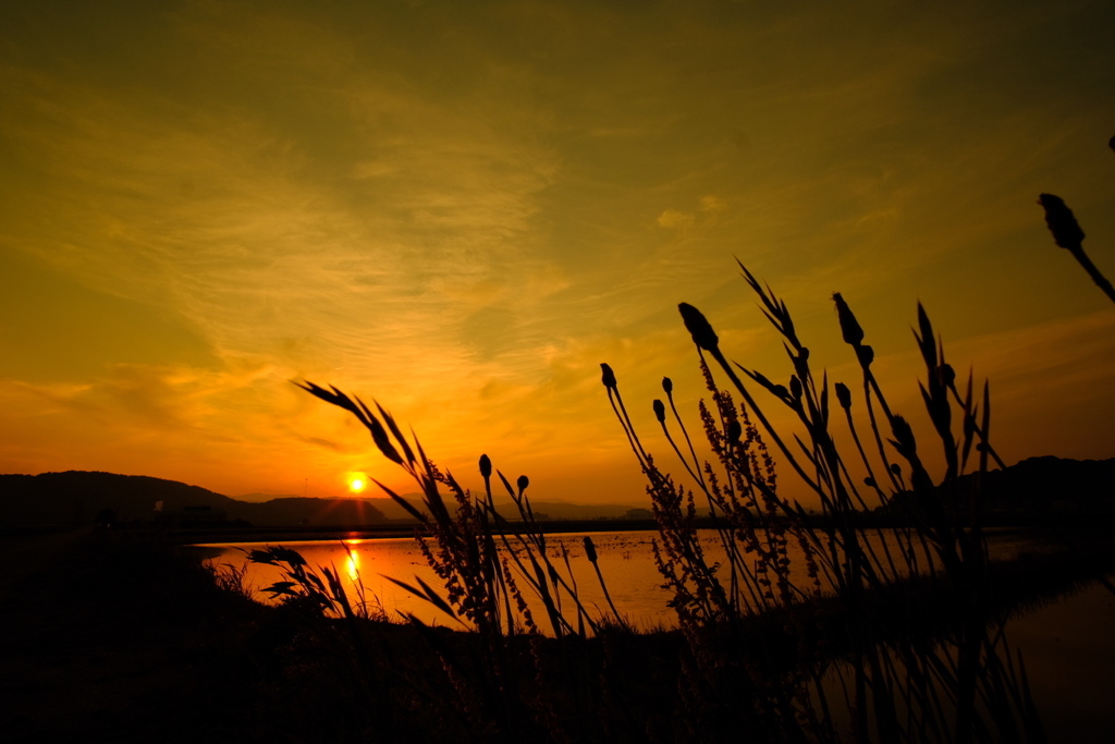 夕景