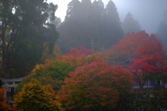 錦まとう登城口