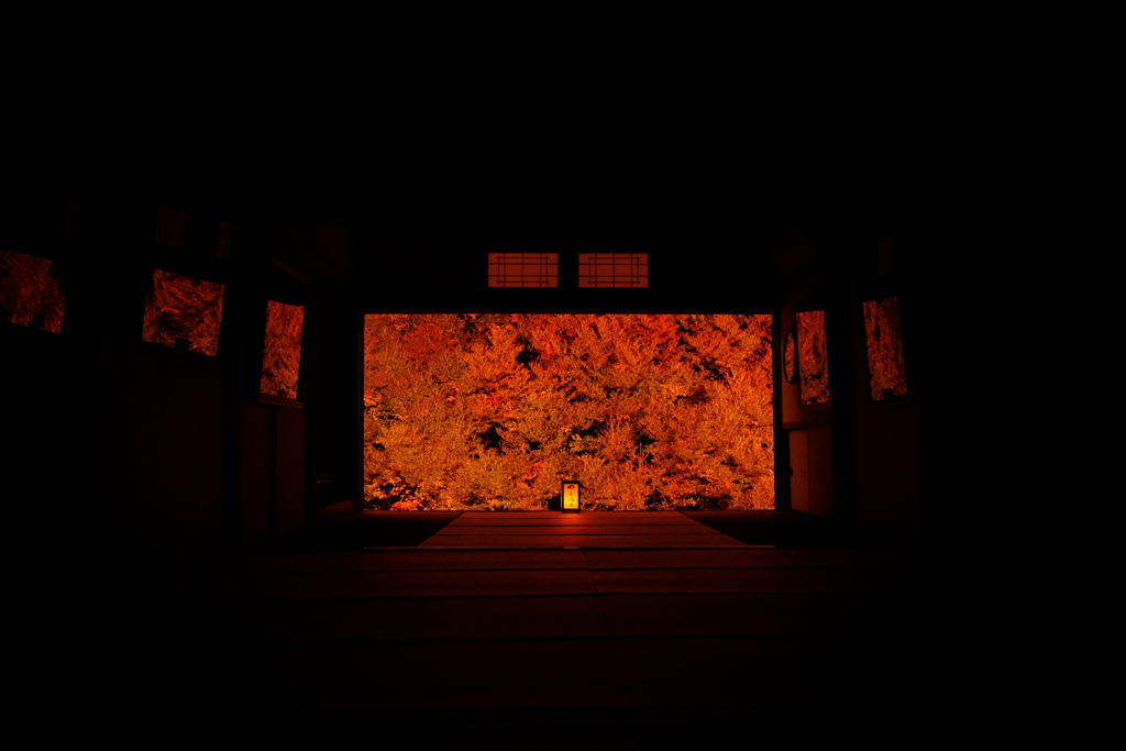 但馬安国禅寺の満天星