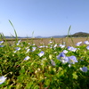 足元の存在感