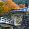 紅葉の出石城