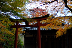 お社の紅葉
