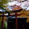 お社の紅葉