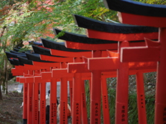 連なる鳥居