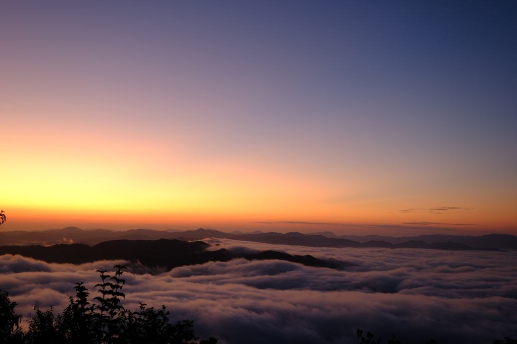 来日岳雲海