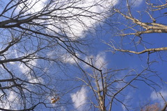 P1050199