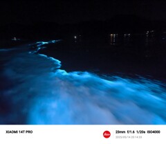 海の輝き