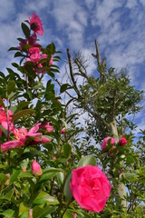 P1050187