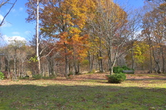 P1050211