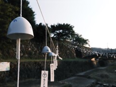 夏の風物詩