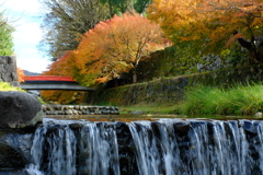 堀端の紅葉