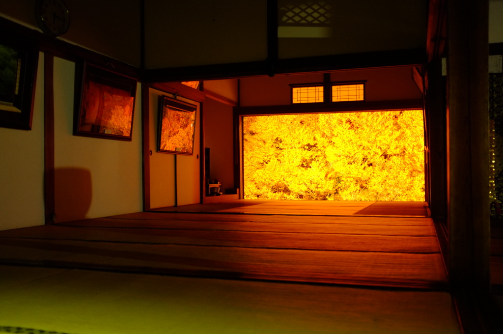 但馬安国寺　満天星