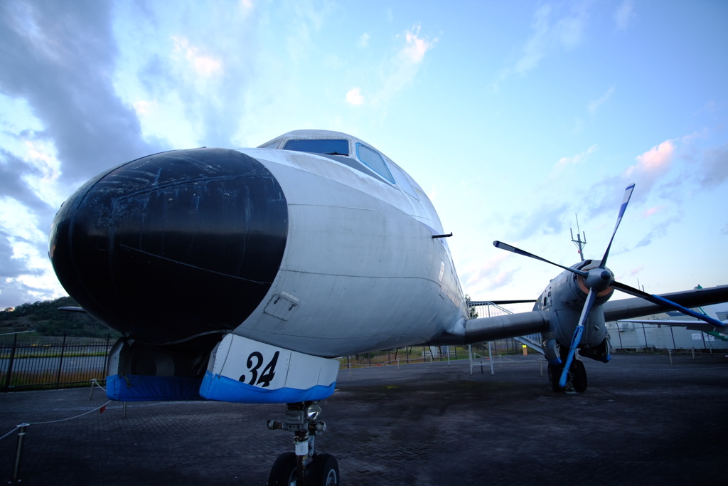 YS-11