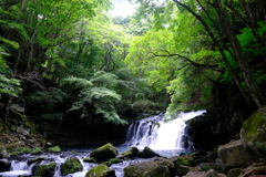 蓼科大滝