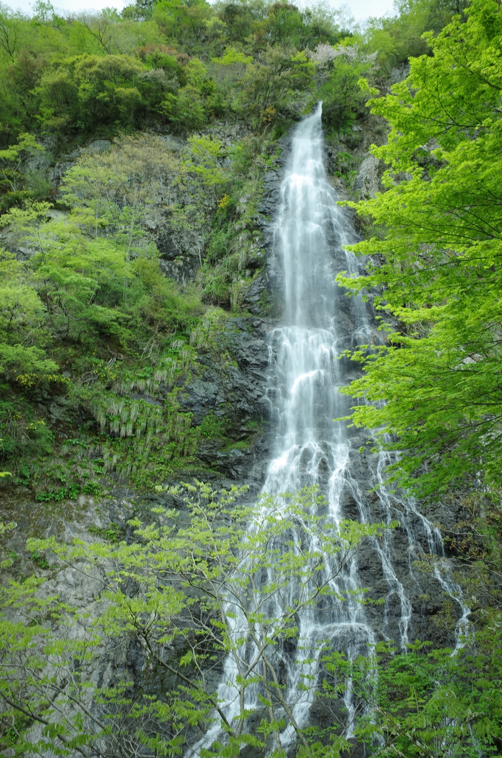 天滝