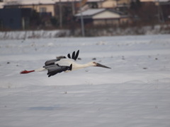スナイパー