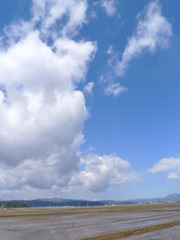湿田