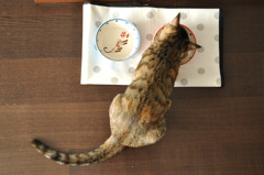 食事中