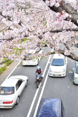 4月10日（日）