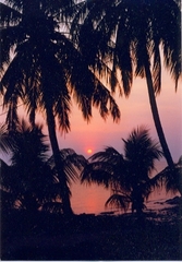 ティオマン島の夕日