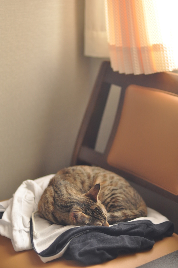 陽だまりのなかで