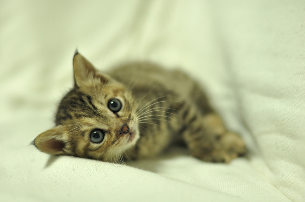 what's up?