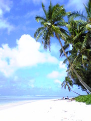 ラロトンガ島の風景