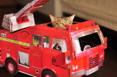 firefighter