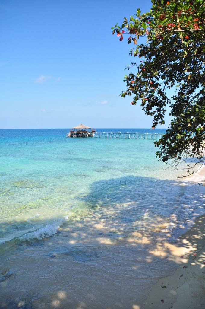 blue sky and blue ocean