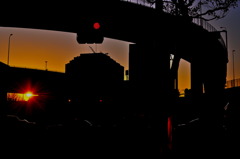 2009 Last Morning Sun 4