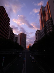Shinjyuku Sun Rise 2
