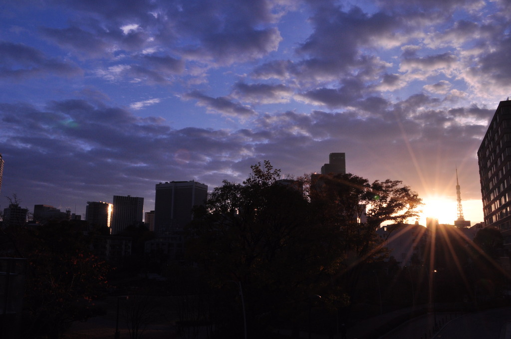 Sun Rise Roppongi