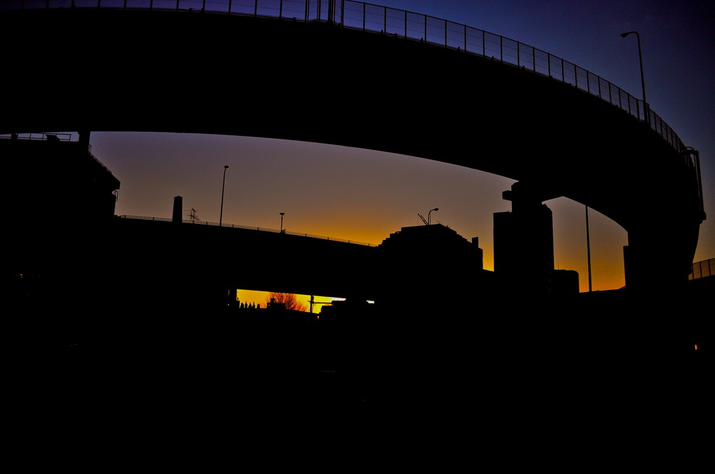 2009 Last Morning Sun 1