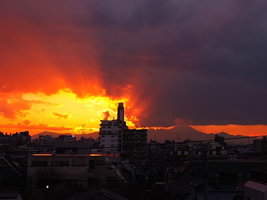 燃えゆく２０１２Ⅱ