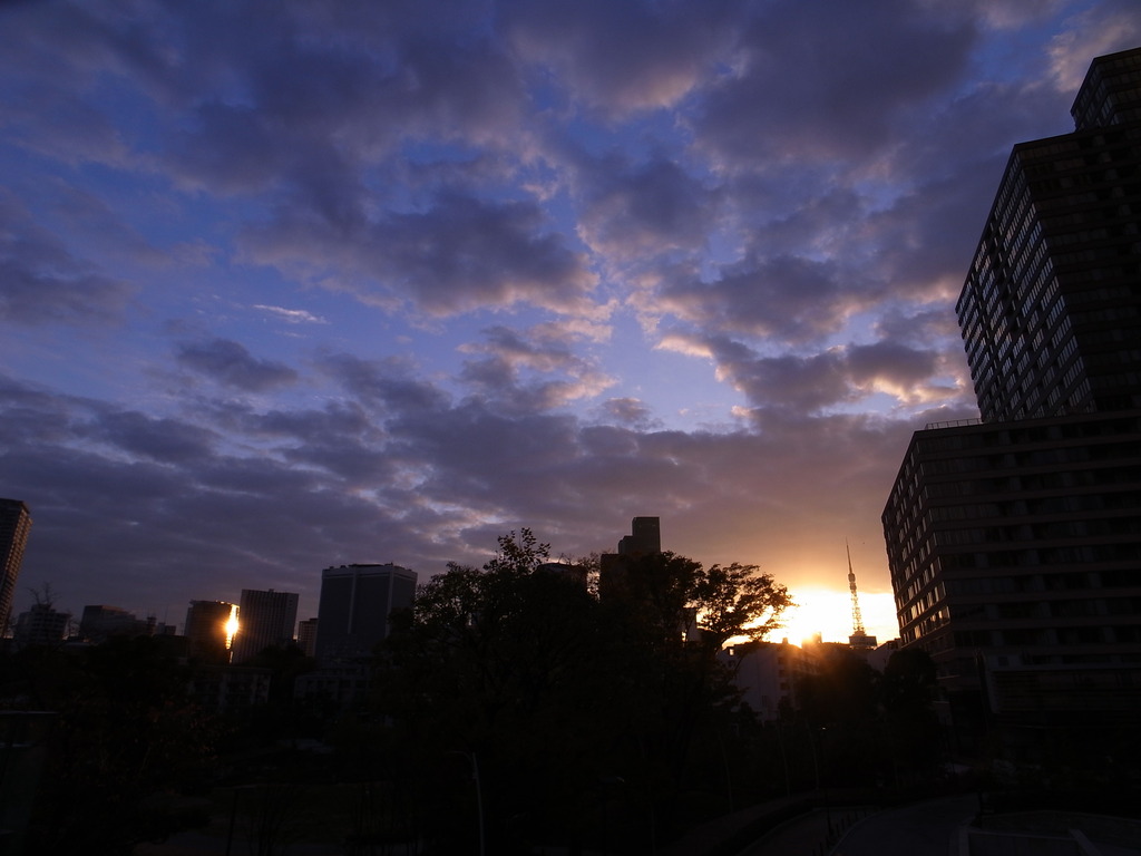 東京の夜明け２