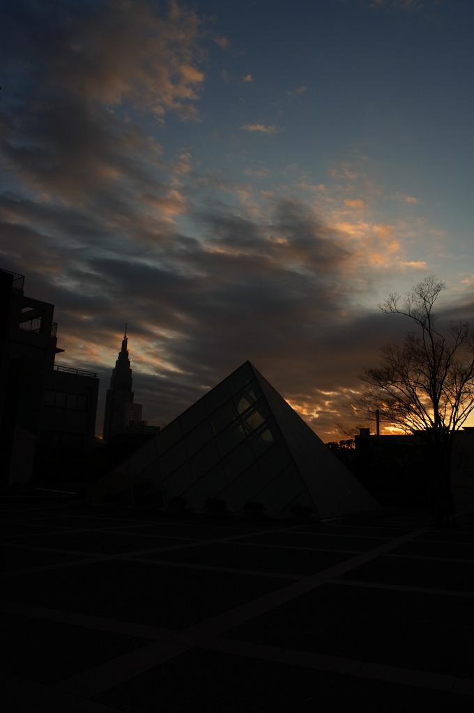 不夜城の初日の出