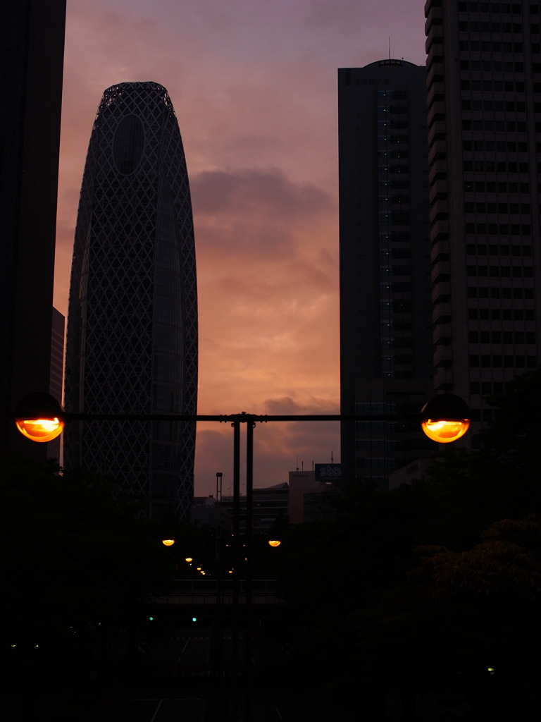Morning Glow of Shinjyuku