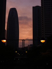 Morning Glow of Shinjyuku