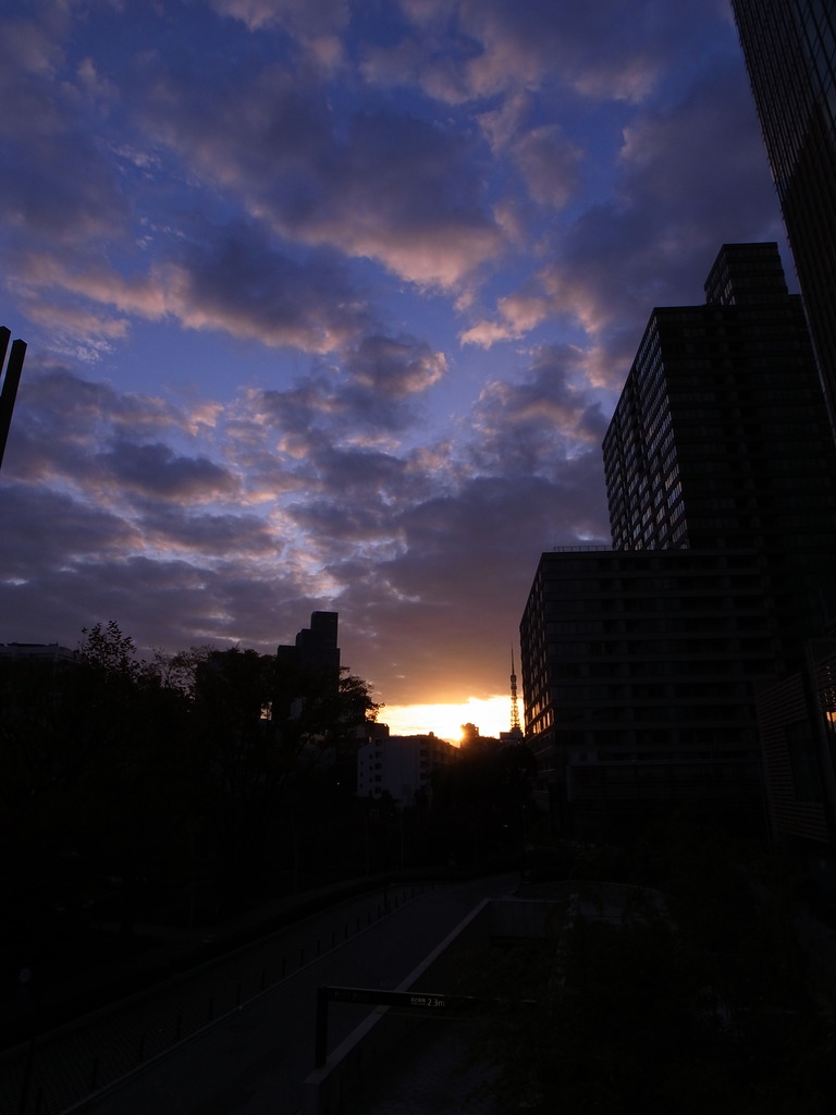 東京の夜明け１