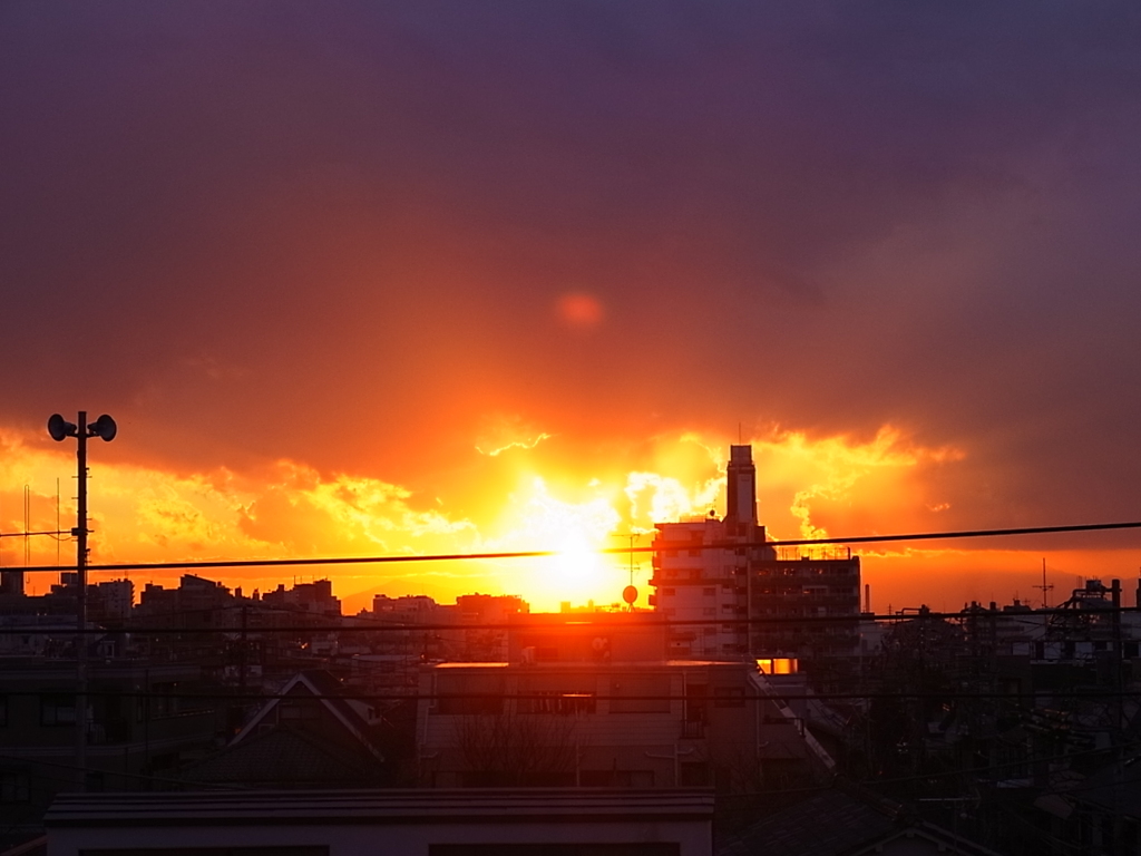 燃えゆく２０１２