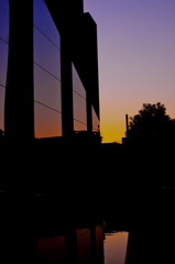 2009 Last Morning Sun 2