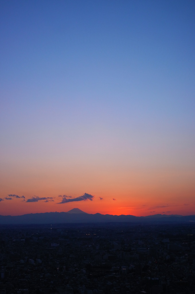 Gradation of Shinjyuku 2