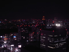 Shinjyuku Night C