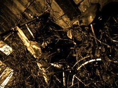 草に溶けゆく自転車