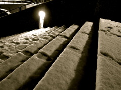 First SNOW of Tokyo 2